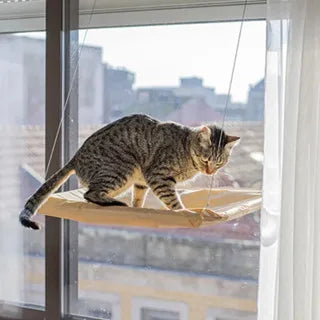 Cama para Gato Janela Suspensa
