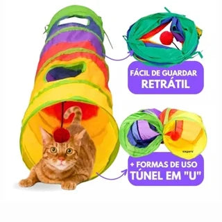Túnel Para Gatos / Colorido