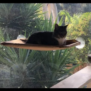 Cama para Gato Janela Suspensa